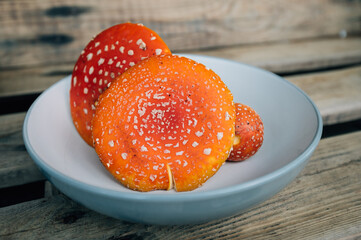 amanita muscaria fly agaric cap