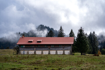 Nagelfluhkette im Allgäu
