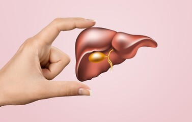 World hepatitis day. Adult hands holding donation liver on background. Awareness of prevention and...