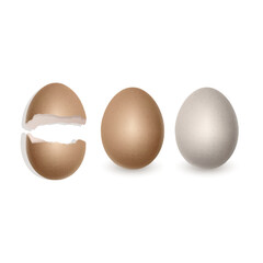 Chicken eggs in realistic style Fresh brown eggs in paper box