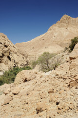 Fototapeta na wymiar Dead Sea Mountains
