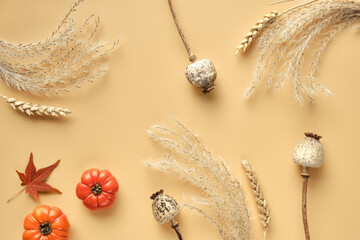 Autumntime background with tiny orange pumpkins, dry pampas grass and wheat ears. Flat lay, top...