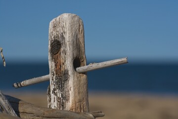 Fototapeta premium Close up of drift wood fragments on Plum Island sandy beach.