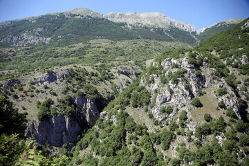 Gorge of the Sangro river in the green mountain chain of the Meta, Barrea, Abruzzo National Park, Italy