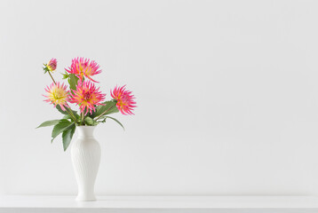 beautiful pink dahlia in white vase on white background