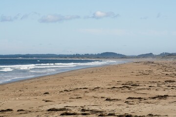 Obraz premium Atlantic Ocean surf on Plum Island sandy beach