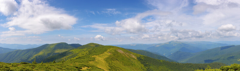 Fototapeta premium panoramic view in to the chornohora ridge valley. stunning landscape of carpathian mountains on a bright forenoon in summer. forested hills and grassy meadows beneath a bright blue sky. travel ukraine