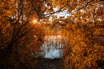 Herbstlicht am See 