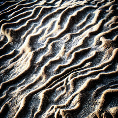 Sand Texture