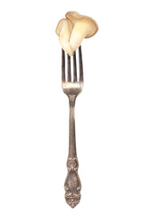 oyster mushroom on a fork isolated on white