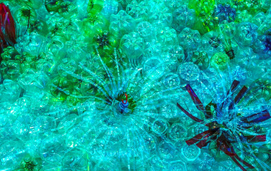 plastic bottle recycled for reuse