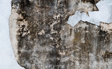 Old cement wall textured background