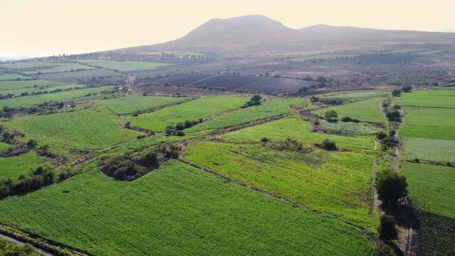aerial view of cornfields on a mountain with a river at sunset