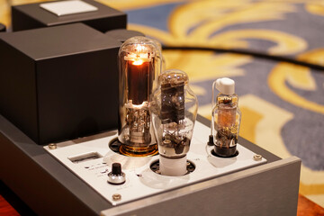High-quality electronic vacuum radio tubes. Old analog electronic audio component	