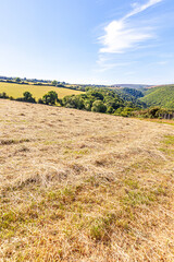 A field of mown hay on Exmoor National Park at Cloutsham, Somerset UK