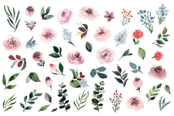 Watercolor spring set of flowers, leaves and berries, isolated on transparent background