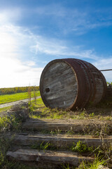 Obraz premium Wooden wine barrel in the vineyarrd