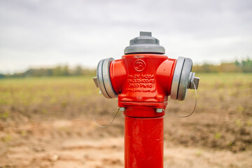 Red fire hydrant standing in park closeup