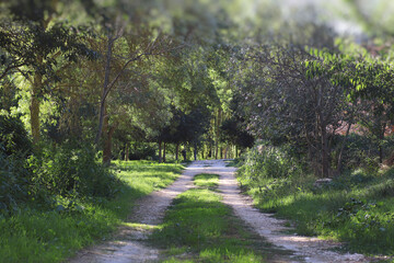 Camino al refugio © MONS GUERRERO