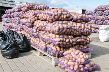 Lots of potatoes in mesh bags on pallets for sale at a farmer's market. Wholesale of potatoes. Vegetable trade.