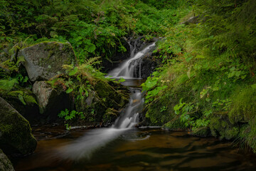 Javori creek in Krkonose national park in summer morning