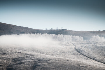 Frost-covered trees with clouds in the mountains at foggy sunrise.