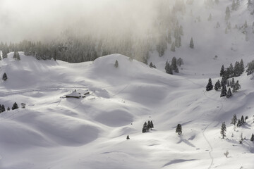 Fototapeta na wymiar an alpine chalet covered with snow