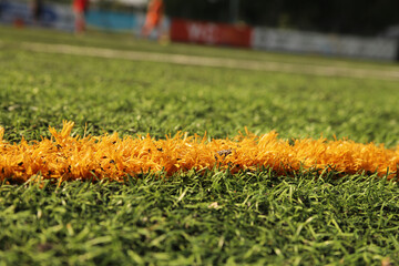 soccer field background