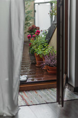 An open door to the terrace and potted plants, a light curtain and flip-flops behind it during the rain.