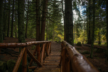 Fototapeta premium Bridge above the stream