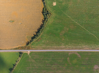 Aerial view drone shot of fresh green field. A road between two fields. Geometric shapes in the...