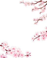 pink cherry blossom border
