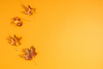 Autumn creative composition with leaves. Beautiful dried leaves on orange background. Fall concept. Autumn background. Flat lay, top view, copy space