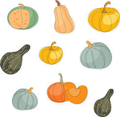 Pattern Multicolored pumpkins. One line vector illustration. For printing on fabric, packaging, scrapbooking. Harvest vegetables, vegetable garden.