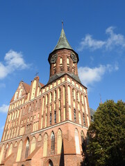 Fototapeta na wymiar cathedral of the 14th century in kaliningrad, russia