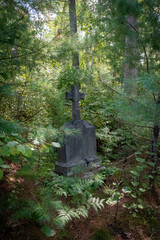 Fototapeta premium An old pioneer gravestone stands abandoned and forgotten in a cemetery being overtaken by forest in Byng Inlet, Ontario.