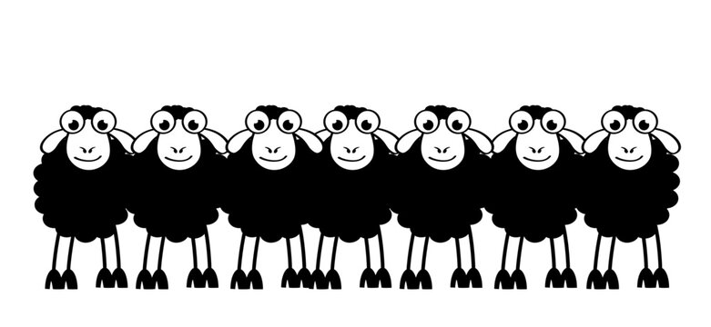 Cartoon, Comic Cute Black And White Sheep Stickman. Sheep Icon. Drawing Black Sheep Lamb Sign Or Pictogram. Stick Figure Character. Happy Animal Face.