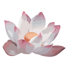 Beautiful Watercolor Lotus, flower water lily 