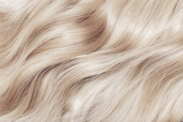 Blond hair close-up as a background. Women's long blonde hair. Beautifully styled wavy shiny curls....