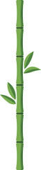 Straight bamboo trunk with leaves