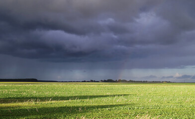 Oświetlone zielone pola jesienią na tle ciemnej deszczowej chmury na Lubelsczyźnie. - obrazy, fototapety, plakaty