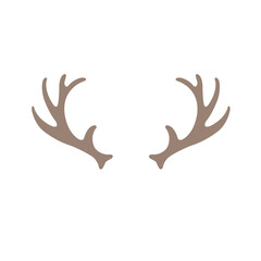 Deer Horns on the white Background.