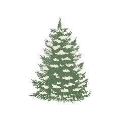 Christmas Tree on the white Background.
