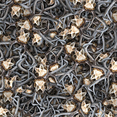 Canadian deer skulls with antlers attached in a multi layered pattern