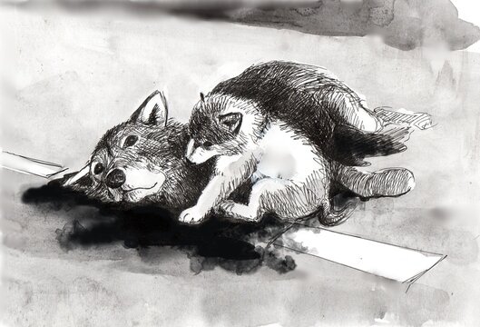 Wolves (or dogs) on the road, the mother lies dead, killed by a car, a puppy sits by her side, he has been orphaned. Monochrome illustration done with pen and paint.