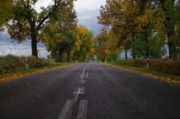 Deszczowa pogoda jesienią na drodze.