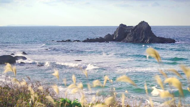 Closeup video of the Sakurai Futamigaura Couple Stones protected by a sacred shimenawa straw rope in the genkai-nada sea along the Fukuoka coast bordered by maiden silvergrass plants blown by wind.