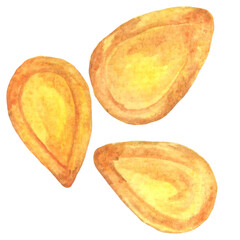 Watercolor pumpkin seeds