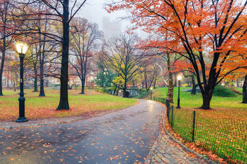 Central park at rainy morning, New York City, USA