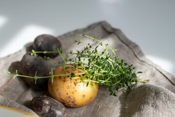 Potatoes of different types and colors on a gray linen towel and a sprig of green thyme. Food advertisement, kitchen poster, space for your text.